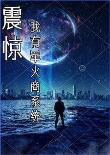 军火商系统类