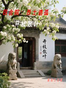 四合院是什么遗产