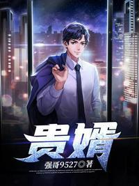贵婿免费阅读