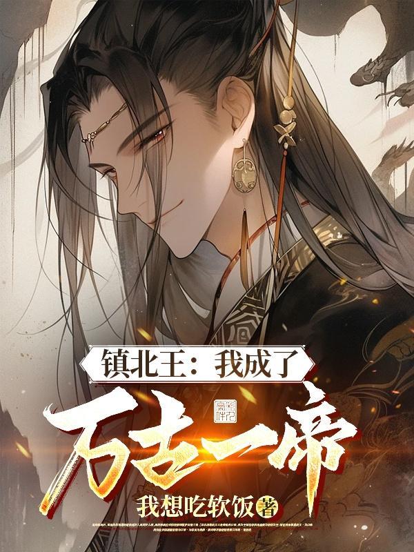 镇北王是几品
